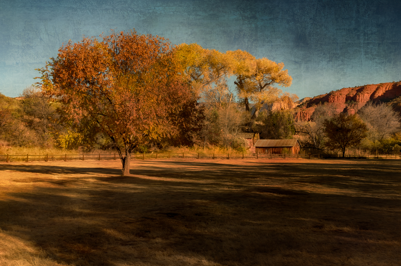 Fall in Sedona Donna